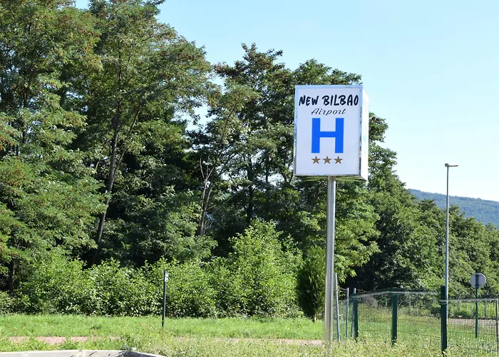 ホテル ホテル　ニュー　ビルバオ　エアポート デリオ